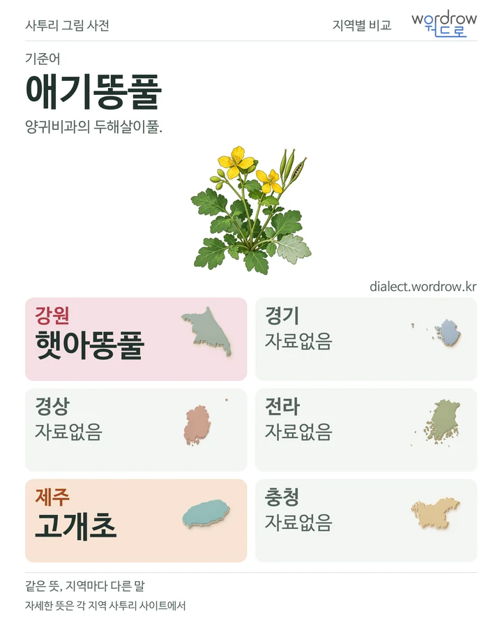 애기똥풀의 여섯 지역 사투리 비교