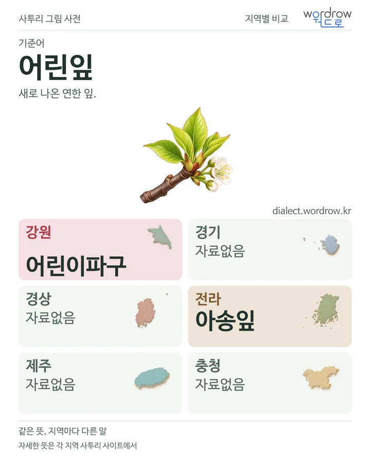 어린잎의 여섯 지역 사투리 비교