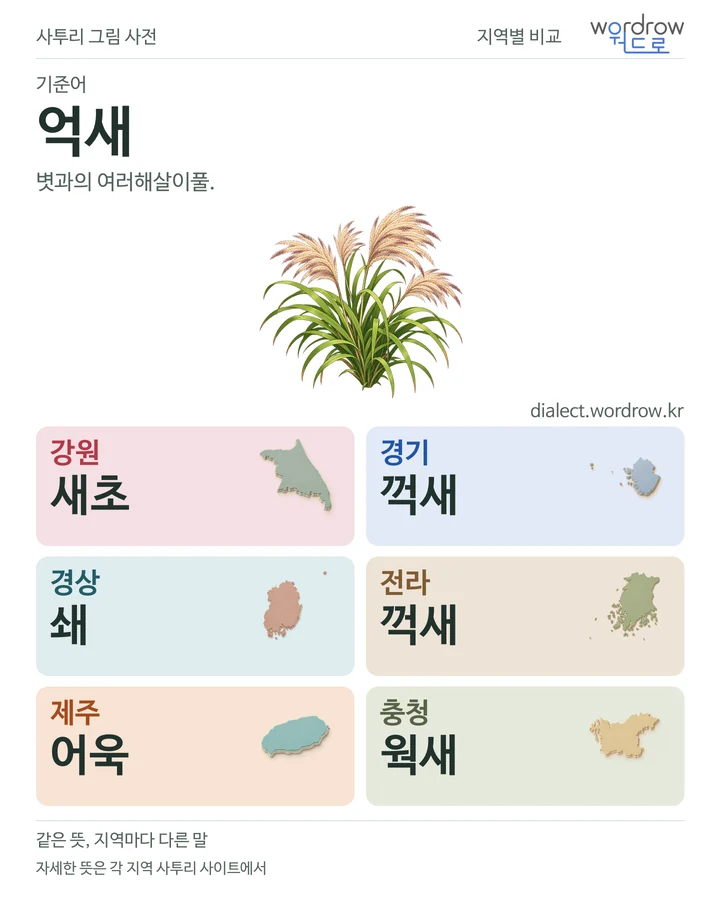억새의 여섯 지역 사투리 비교
