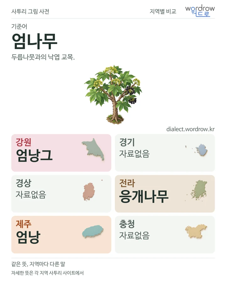엄나무의 여섯 지역 사투리 비교