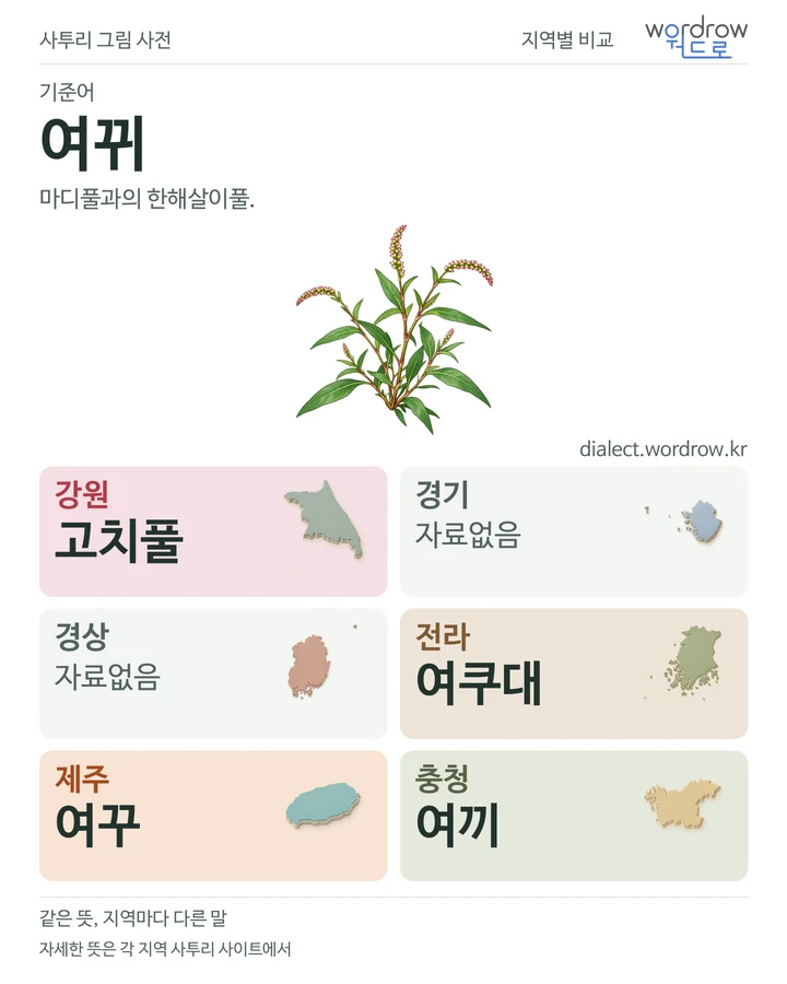 여뀌의 여섯 지역 사투리 비교