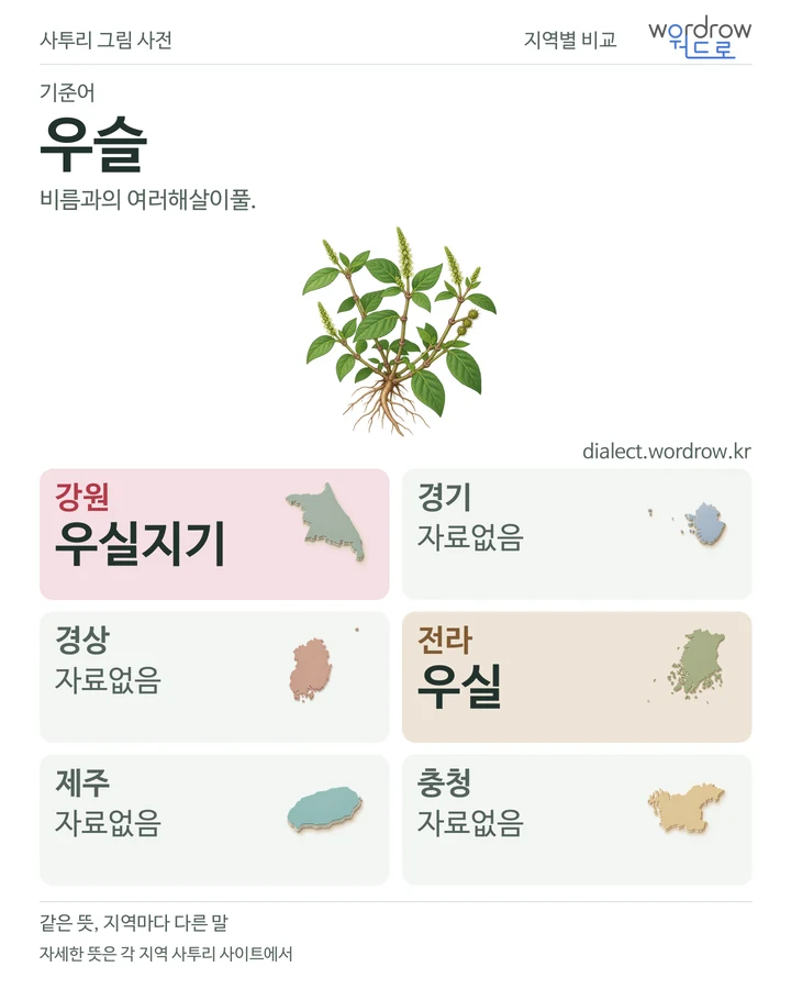우슬의 여섯 지역 사투리 비교