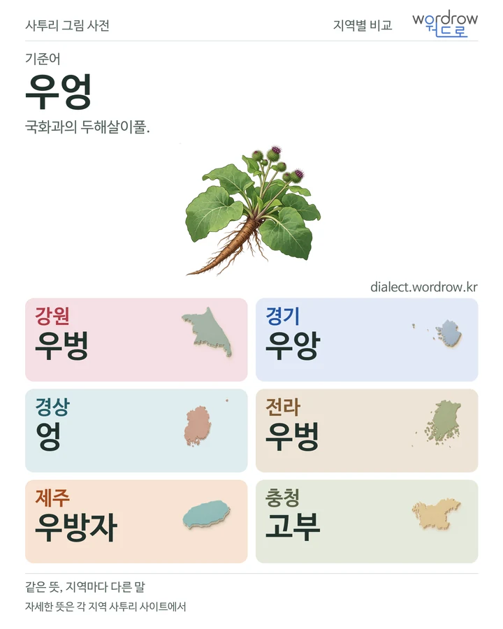 우엉의 여섯 지역 사투리 비교