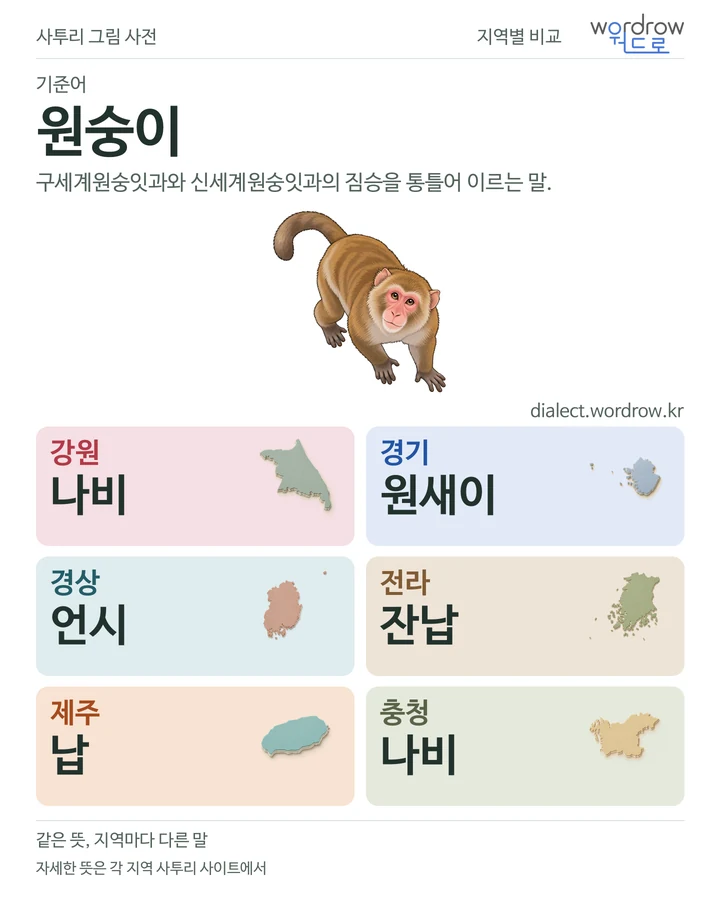 원숭이의 여섯 지역 사투리 비교