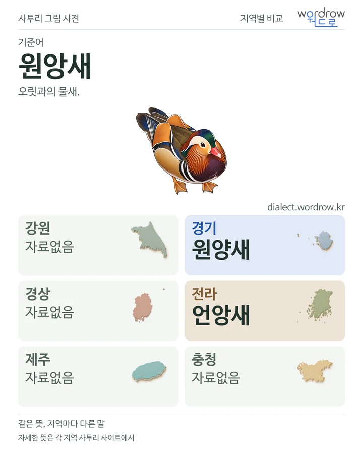 원앙새의 여섯 지역 사투리 비교