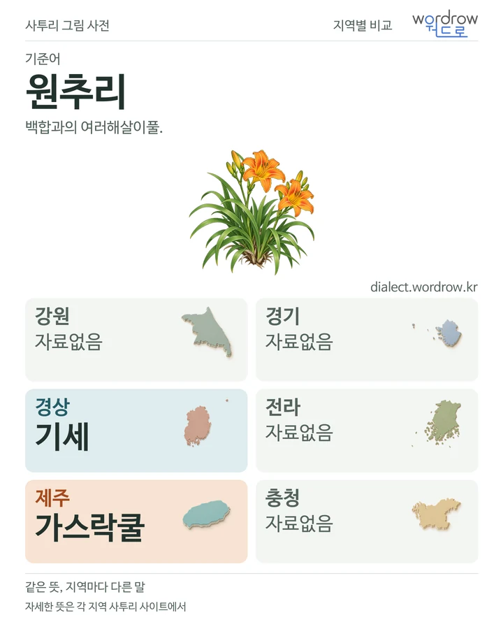 원추리의 여섯 지역 사투리 비교