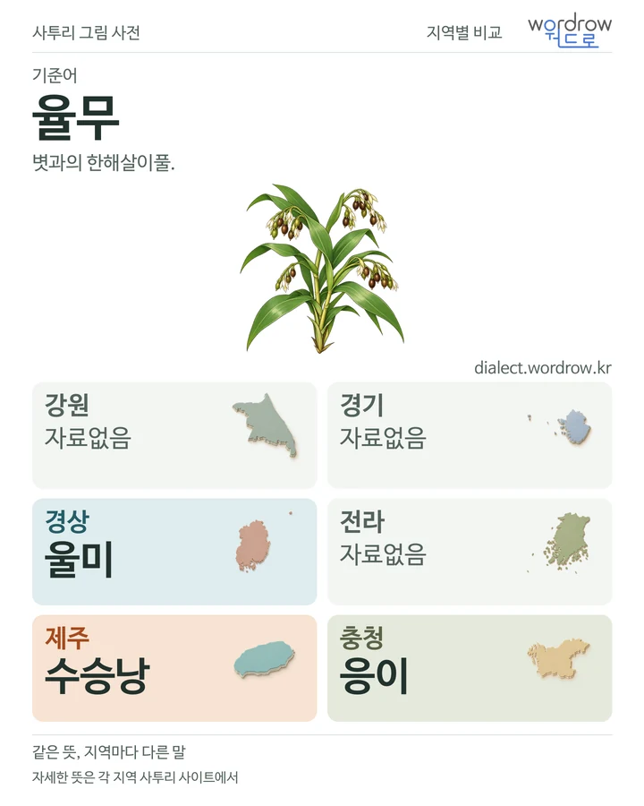 율무의 여섯 지역 사투리 비교
