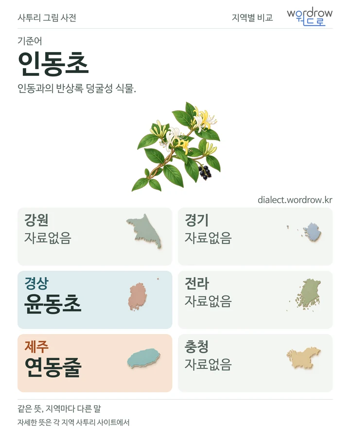 인동초의 여섯 지역 사투리 비교