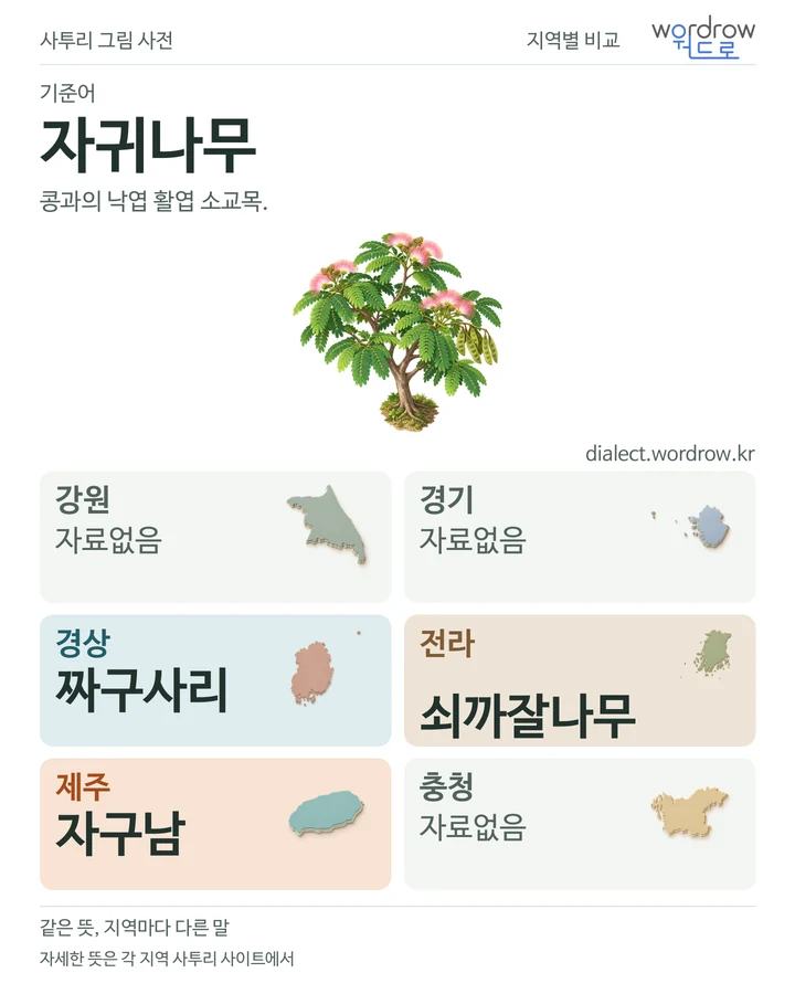자귀나무의 여섯 지역 사투리 비교