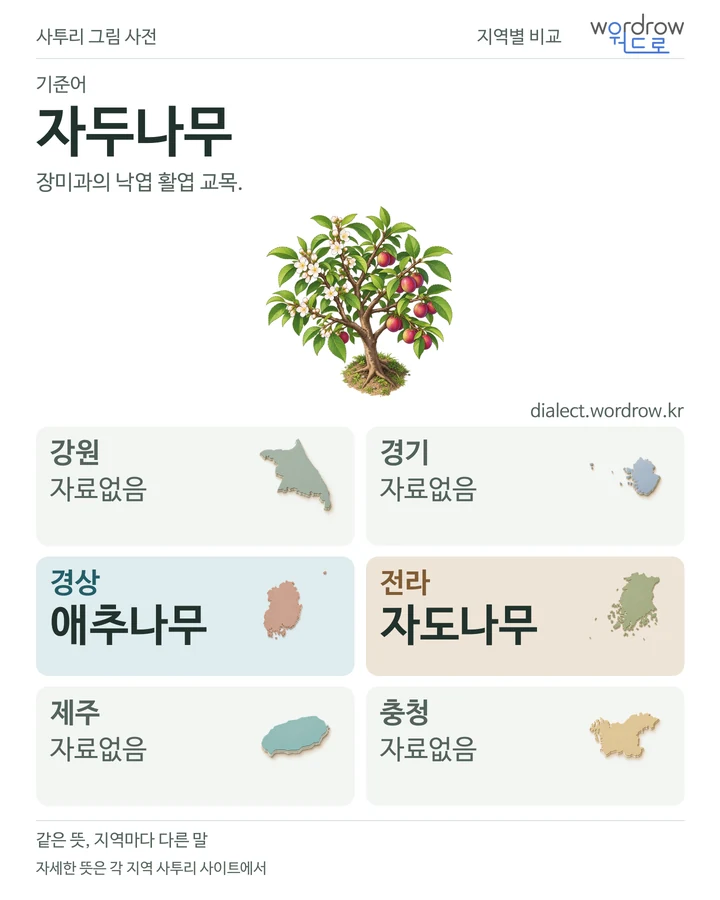 자두나무의 여섯 지역 사투리 비교
