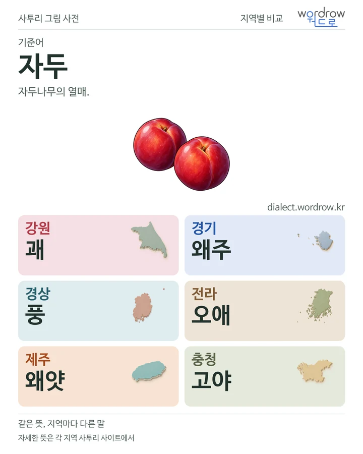자두의 여섯 지역 사투리 비교