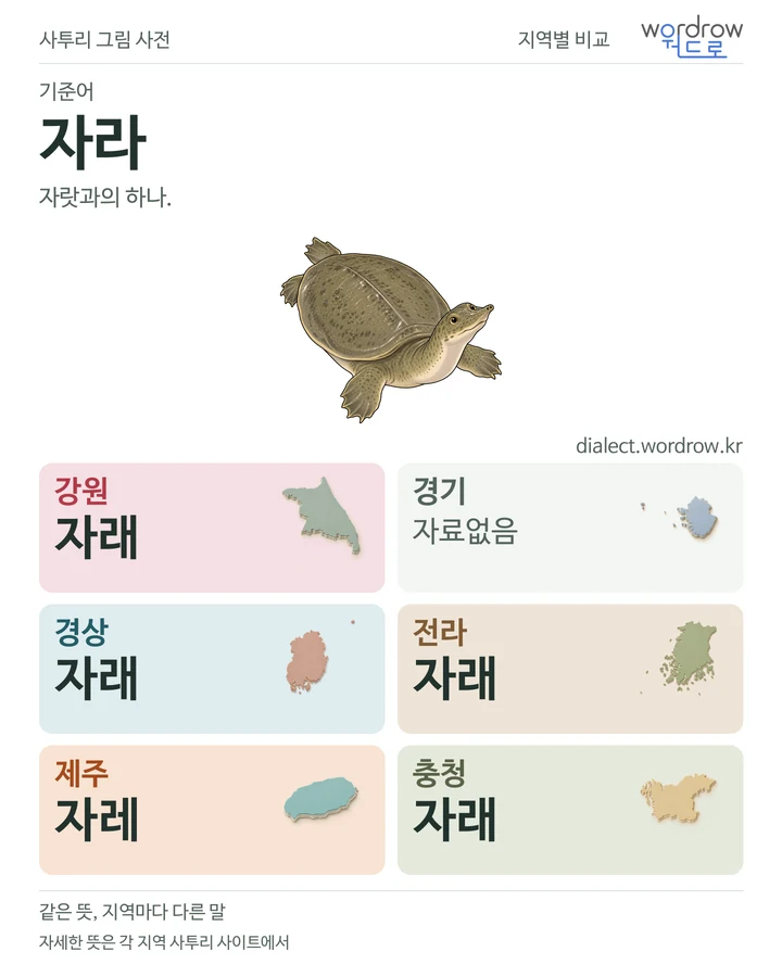 자라의 여섯 지역 사투리 비교