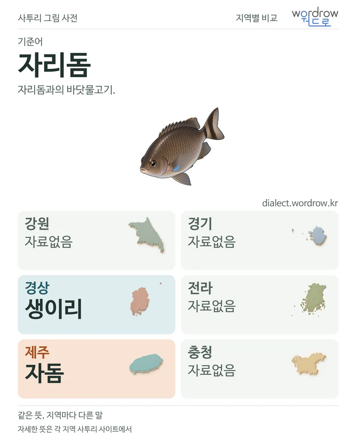 자리돔의 여섯 지역 사투리 비교