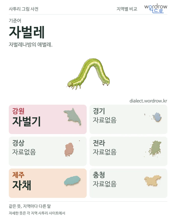 자벌레의 여섯 지역 사투리 비교
