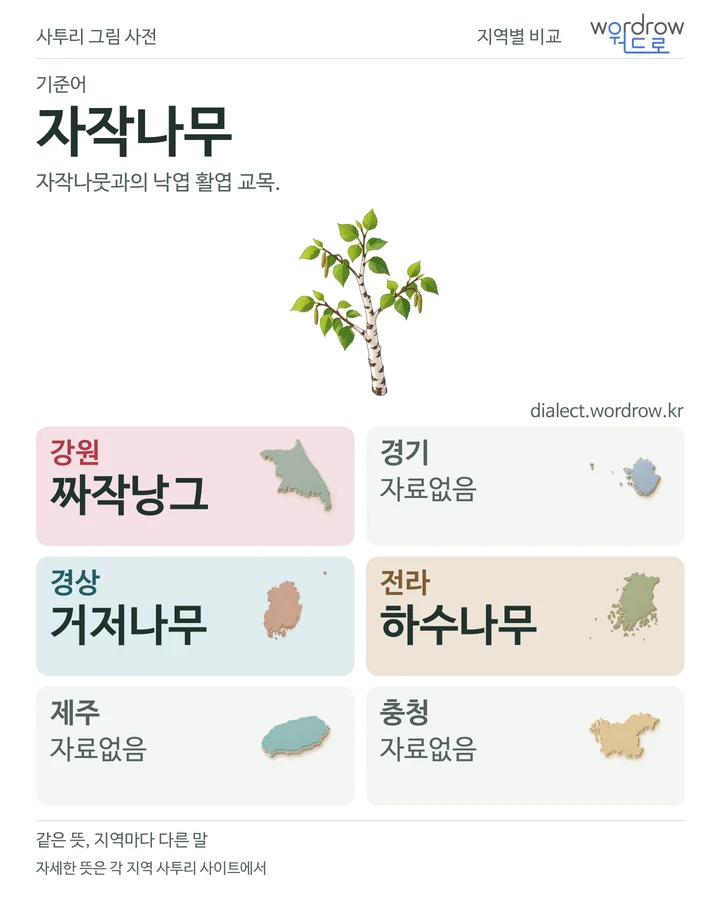 자작나무의 여섯 지역 사투리 비교