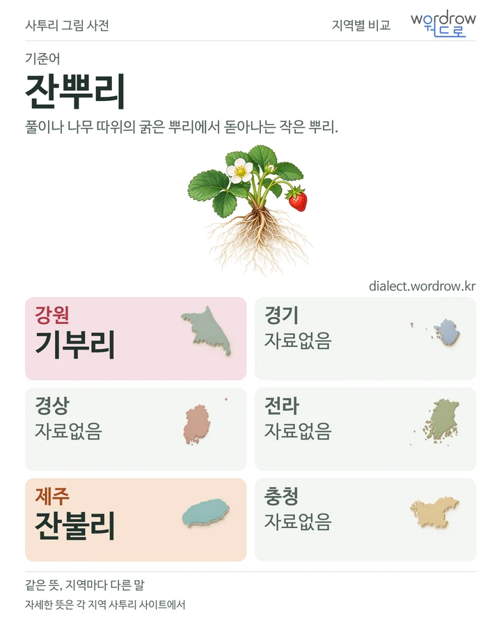 잔뿌리의 여섯 지역 사투리 비교