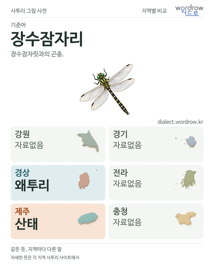장수잠자리의 여섯 지역 사투리 비교