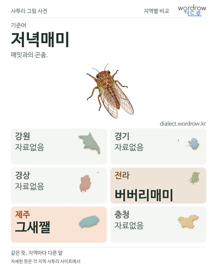 저녁매미의 여섯 지역 사투리 비교