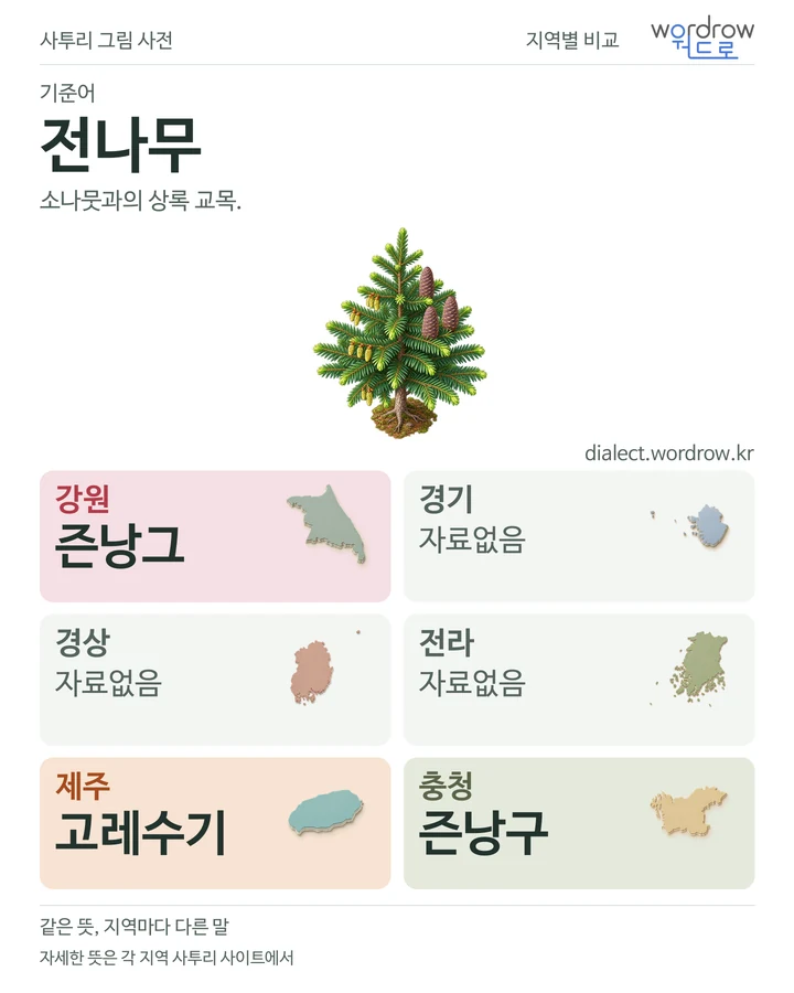 전나무의 여섯 지역 사투리 비교