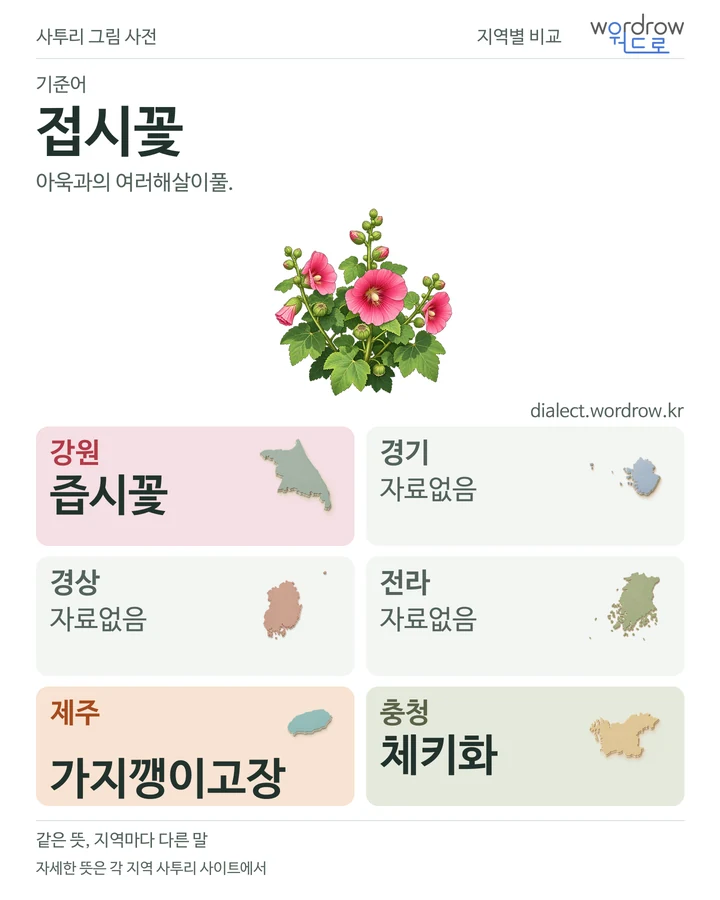 접시꽃의 여섯 지역 사투리 비교