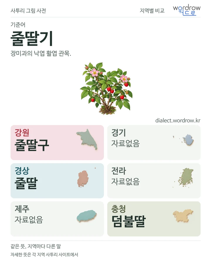 줄딸기의 여섯 지역 사투리 비교