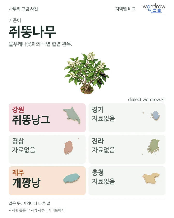쥐똥나무의 여섯 지역 사투리 비교