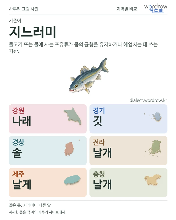 지느러미의 여섯 지역 사투리 비교