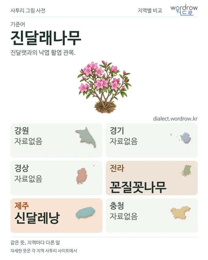 진달래나무의 여섯 지역 사투리 비교