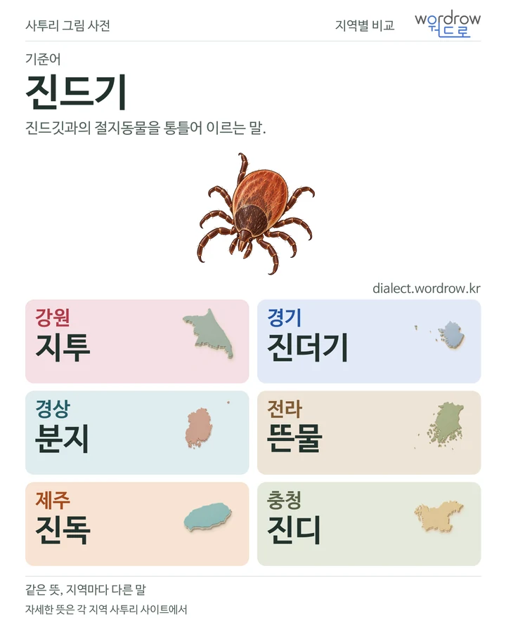 진드기의 여섯 지역 사투리 비교
