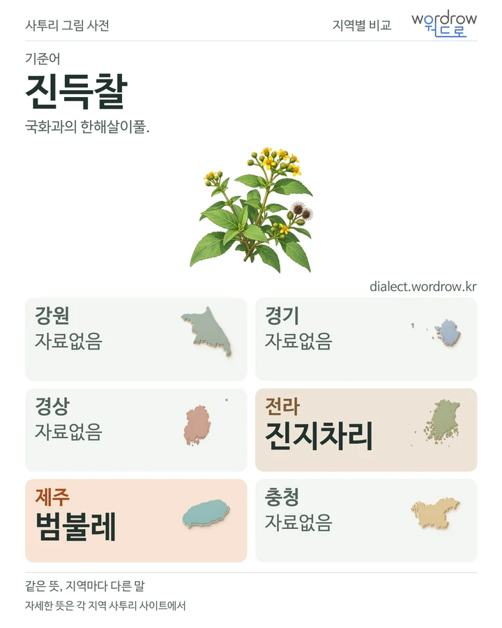 진득찰의 여섯 지역 사투리 비교