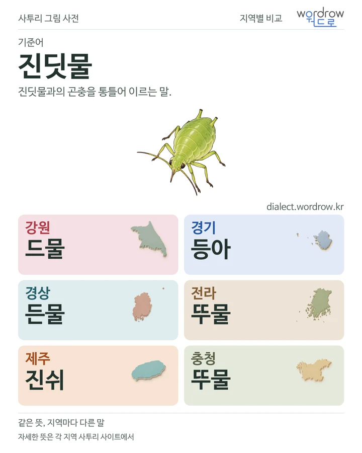 진딧물의 여섯 지역 사투리 비교