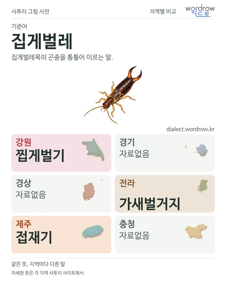 집게벌레의 여섯 지역 사투리 비교