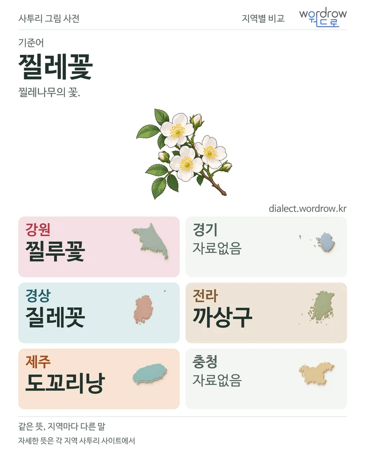 찔레꽃의 여섯 지역 사투리 비교