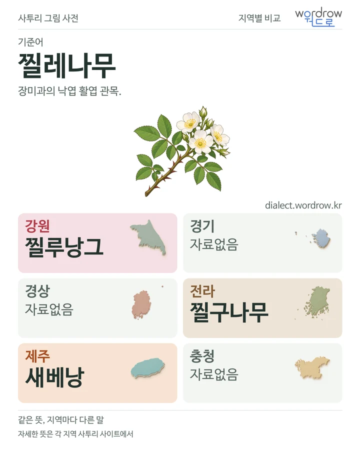 찔레나무의 여섯 지역 사투리 비교