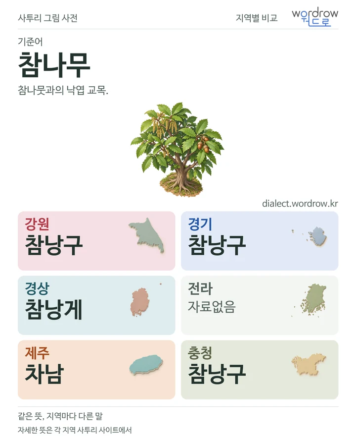 참나무의 여섯 지역 사투리 비교