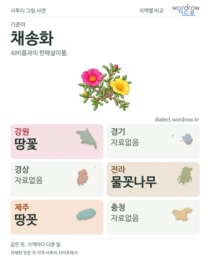 채송화의 여섯 지역 사투리 비교