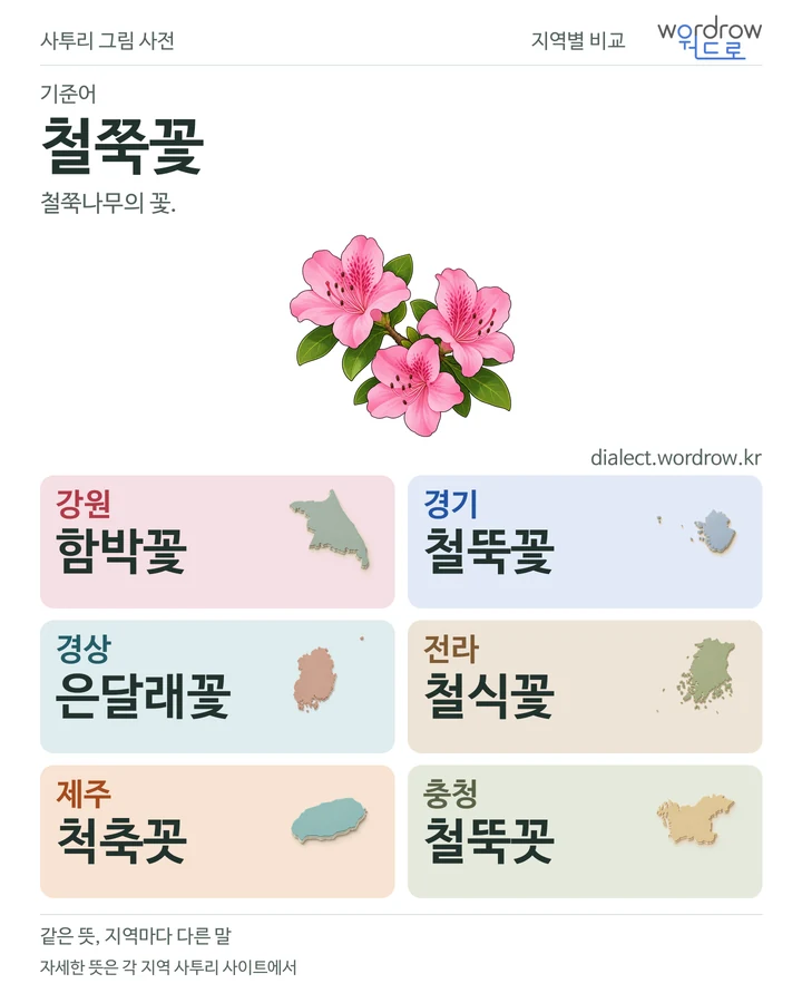 철쭉꽃의 여섯 지역 사투리 비교