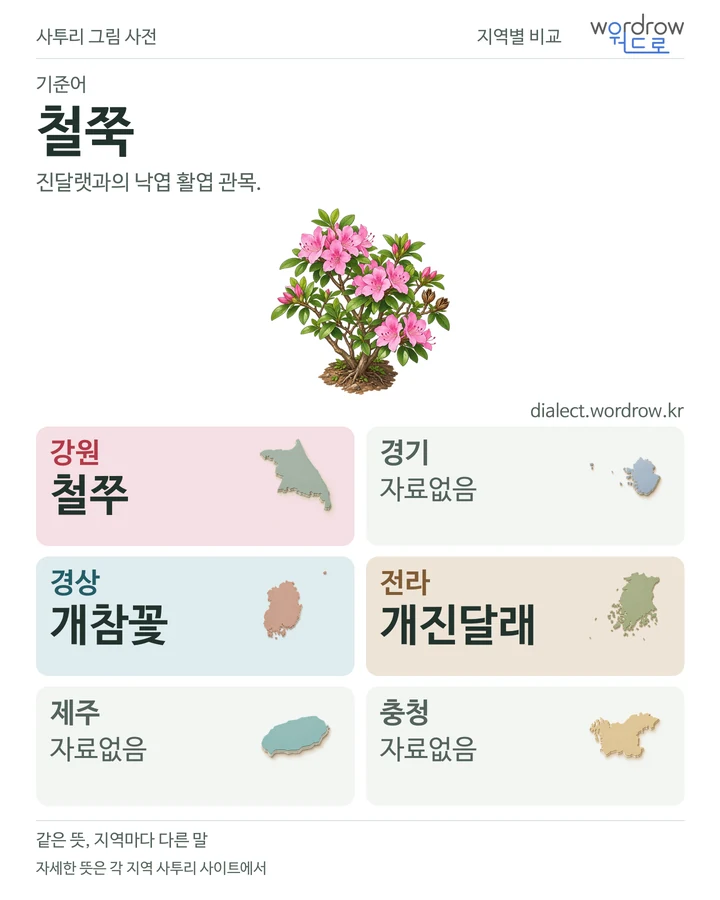 철쭉의 여섯 지역 사투리 비교