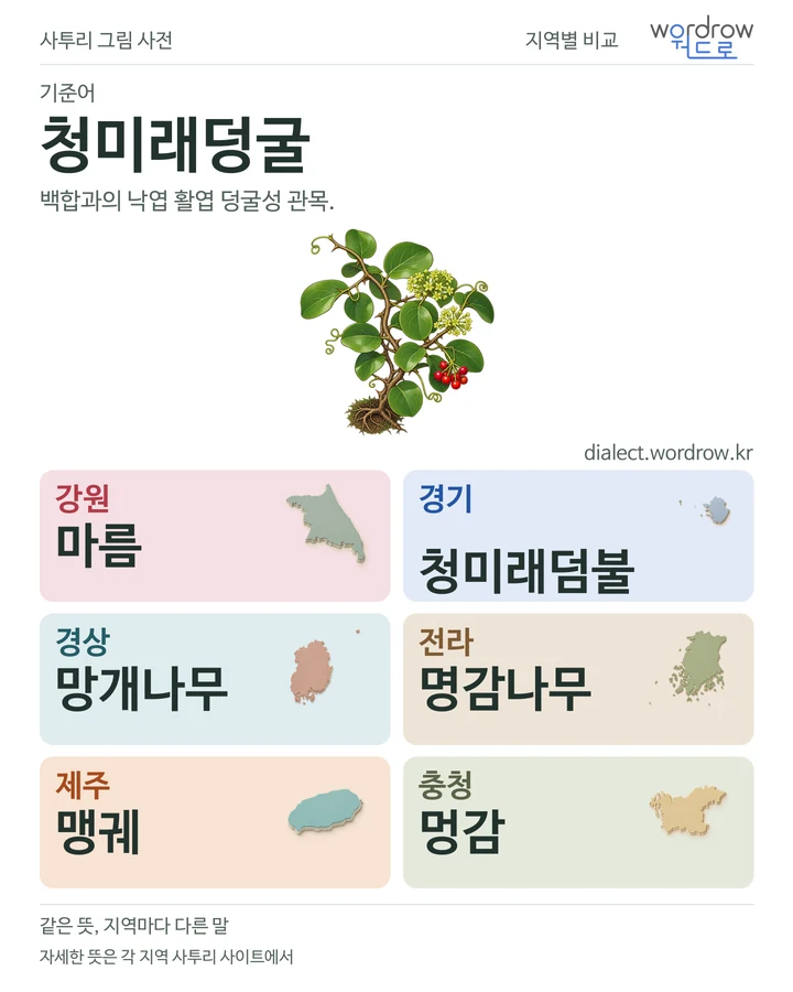 청미래덩굴의 여섯 지역 사투리 비교