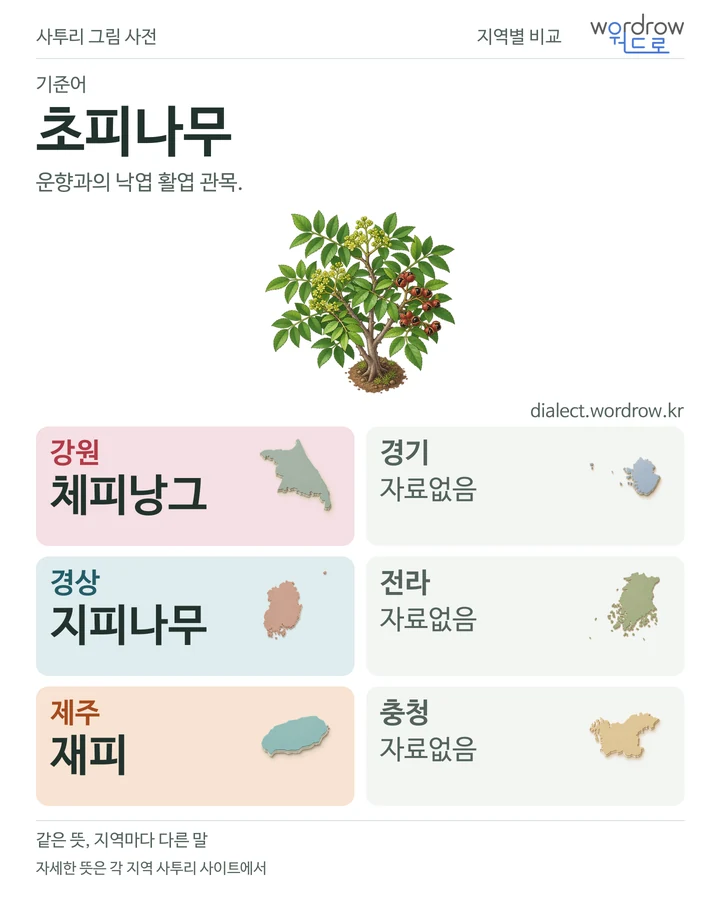 초피나무의 여섯 지역 사투리 비교