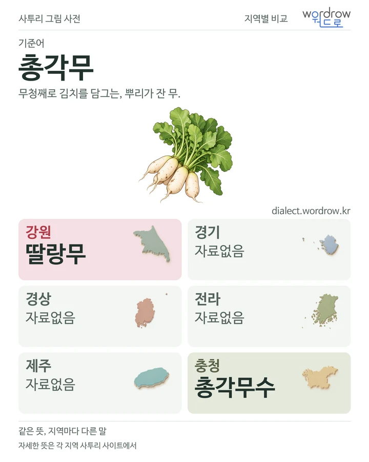 총각무의 여섯 지역 사투리 비교