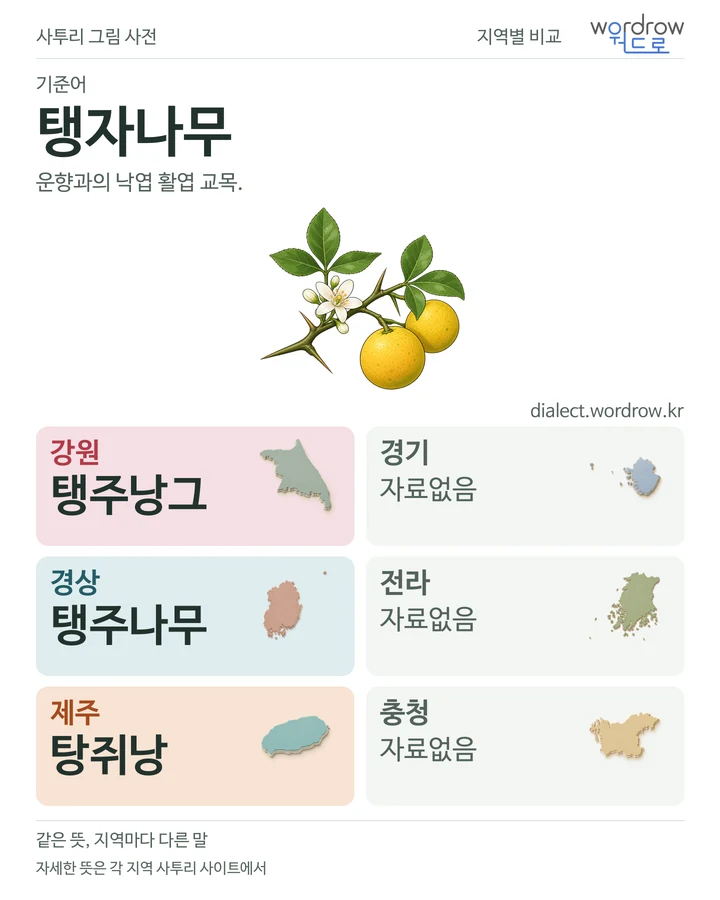 탱자나무의 여섯 지역 사투리 비교