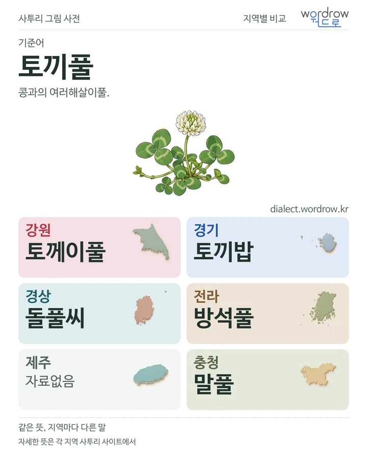 토끼풀의 여섯 지역 사투리 비교
