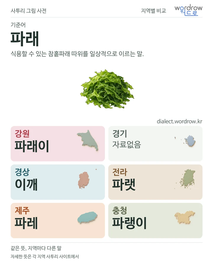 파래의 여섯 지역 사투리 비교