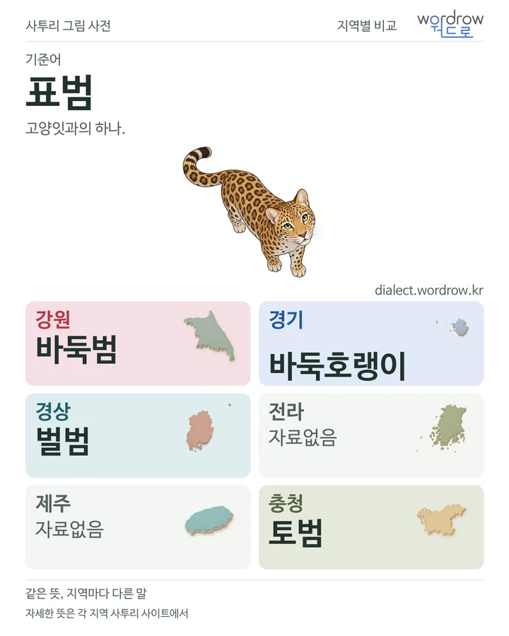 표범의 여섯 지역 사투리 비교