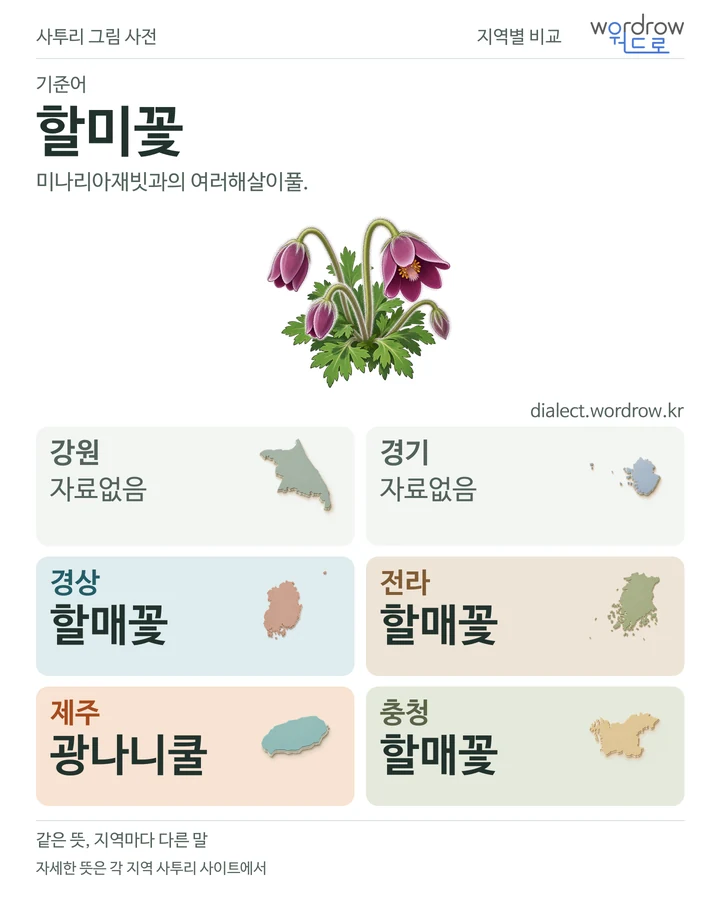 할미꽃의 여섯 지역 사투리 비교