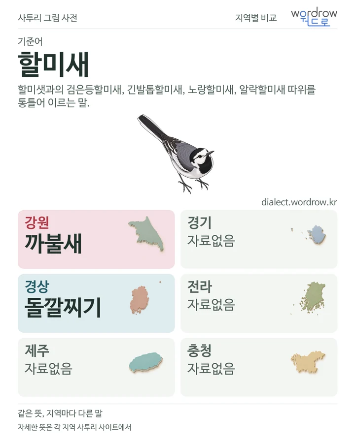 할미새의 여섯 지역 사투리 비교