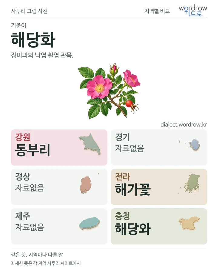 해당화의 여섯 지역 사투리 비교