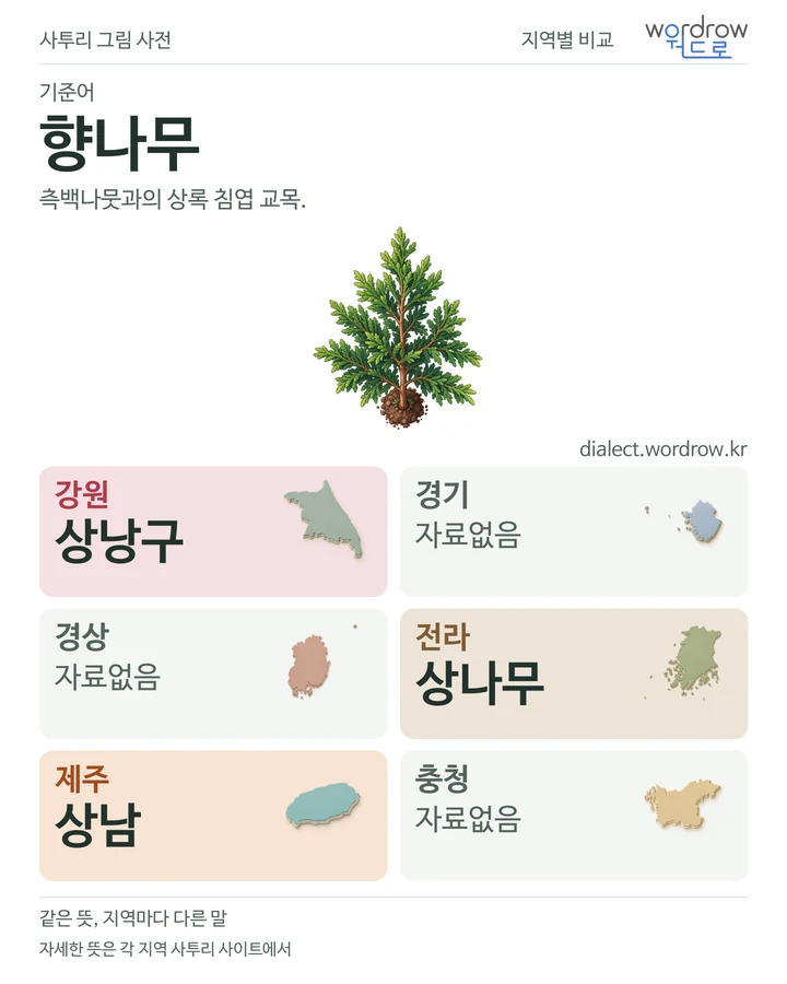 향나무의 여섯 지역 사투리 비교