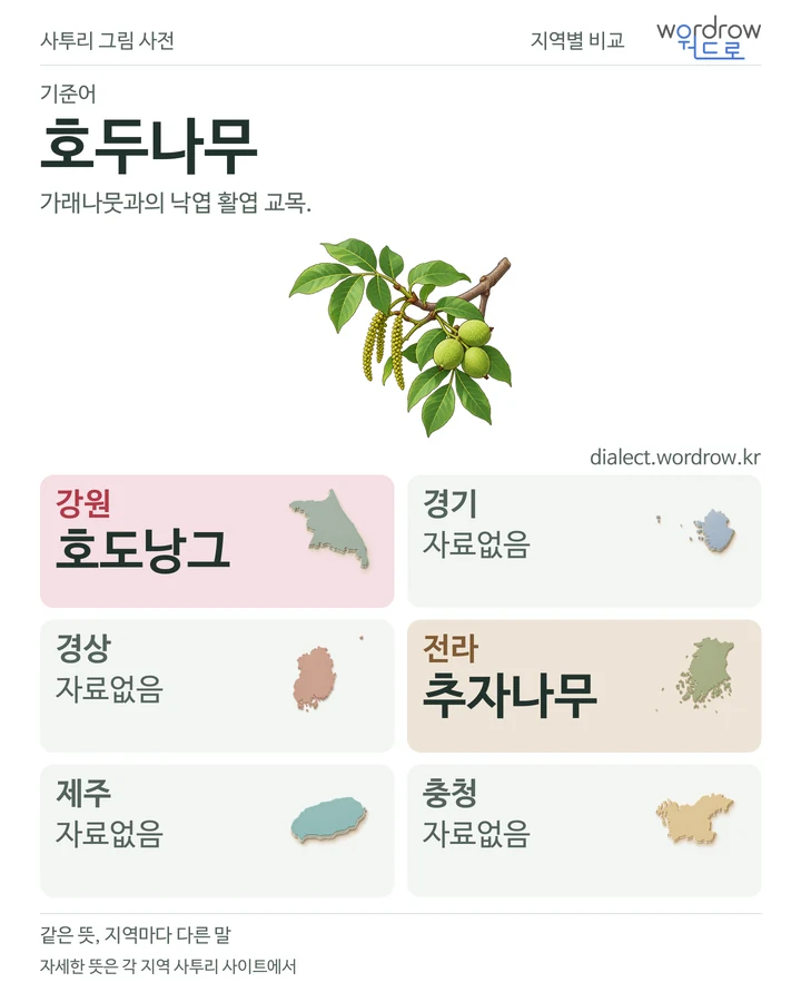 호두나무의 여섯 지역 사투리 비교